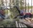 Bosbouwmachines Oogstmachines Komatsu 951