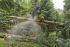 Bosbouwmachines Oogstmachines Ponsse Bear