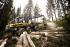 Bosbouwmachines Oogstmachines Ponsse Bear