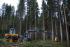 Bosbouwmachines Oogstmachines Ponsse Beaver