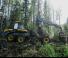 Bosbouwmachines Oogstmachines Ponsse Cobra