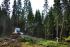 Bosbouwmachines Oogstmachines Ponsse Ergo