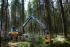 Bosbouwmachines Oogstmachines Ponsse Fox