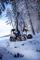 Bosbouwmachines Oogstmachines Ponsse Fox