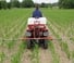 Opbouwveldspuiten Kuhn Evolis Q80
