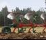 Ploegen Kverneland 150 B 100