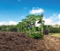 Amazone Hektor 5+1-1000
