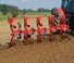 Ploegen Unia Ibis XM plus 4+1