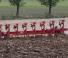 Ploegen Maschio Mirco 8+1 HD