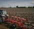 Ploegen Maschio Unico L 4NE