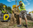 Rupsdumpers Wacker Neuson DT10