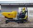 Rupsdumpers Wacker Neuson DT23