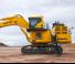 Rupsgraafmachines Komatsu PC2000-11