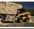 Schrankladers Caterpillar 246D