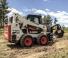 Bobcat S595