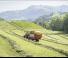 Silagewagens Pöttinger Boss 3210 DB Master