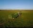 Silagewagens Hustler SF1500