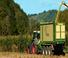 Silagewagens Krone ZX 350 GL