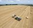 Telescoopladers Claas Scorpion 7055