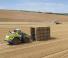 Compacte wielladers Claas Torion 1812