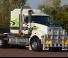 Trucks Trekkers Mack TITAN Day Cab MP10 8x4