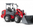 Weidemann 1880