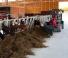 Wielladers Weidemann 2070 CX 50LPT