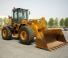 Wielladers Case 821 E