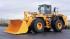 Case 921 C