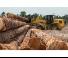 Wielladers Caterpillar 938M