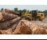 Wielladers Caterpillar 938M