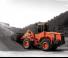 Wielladers Doosan DL 200