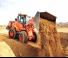 Wielladers Doosan DL250-5