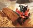 Wielladers Doosan DL 250