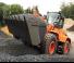 Wielladers Doosan DL 250