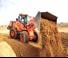 Wielladers Doosan DL250 TC 5