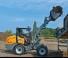 Wielladers Giant G5000
