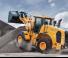 Wielladers Hyundai HL955XT