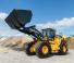 Wielladers Hyundai HL975