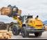 Wielladers Liebherr L 566 XPower