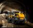 Wielladers Liebherr L 566 XPower