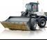 Wielladers Schaeff TL 100