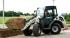Wielladers Terex TL 80 AS
