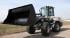 Wielladers Terex TL 80