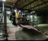 Electrische wielladers Wacker Neuson WL20 e