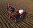 Zaaimachines Case IH Precision Disk 550T 40
