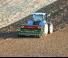 Regent Seedstar RSM V 312 DS