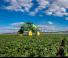 John Deere M4030