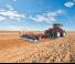 Zinken-schijveneg Case IH Heavy-Offset 790