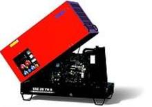 Diesel Generatoren Endress ESE 20 YW-AS